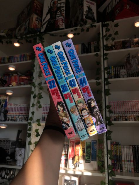 One Piece Manga Shelf, One Piece Manga Collection, One Piece Room, Manga Collection, One Piece Manga, Displaying Collections, Diy Art, The One, Art Painting