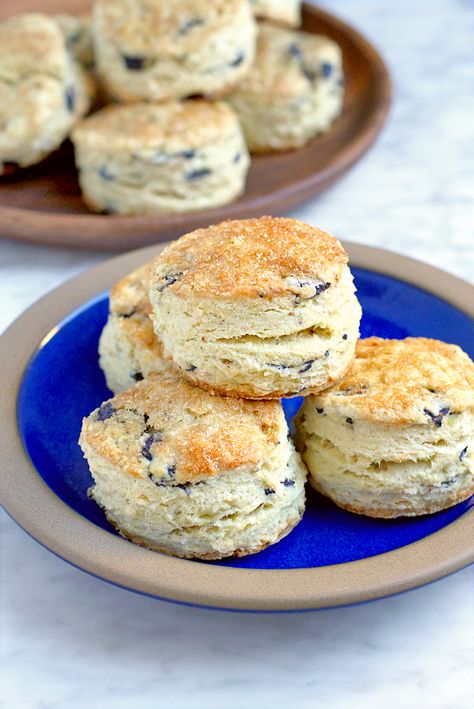 Two of a Kind | Blueberry Coconut Cream Scones | http://www.twoofakindcooks.com Coconut Cream Uses, Cream Scones Recipe, Coconut Cream Recipes, Blueberry Scones Recipe, Baking Scones, Baked Breads, Cream Biscuits, Cream Scones, Coconut Milk Recipes