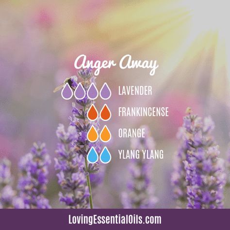 10 Frankincense Diffuser Blends for Health & Wellness Doterra Cleanse, Oil Therapy, Diy Lavender, Doterra Lavender, Essential Oil Combinations, Essential Oil Diffuser Blends Recipes, Oils For Sleep, Yl Oils, Essential Oil Diffuser Recipes