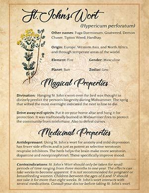 Divination Magic, Book Of Shadows Grimoire, Wicca For Beginners, Magickal Herbs, St John's Wort, Witch Herbs, Green Witchcraft, Wiccan Magic, Bath Recipes