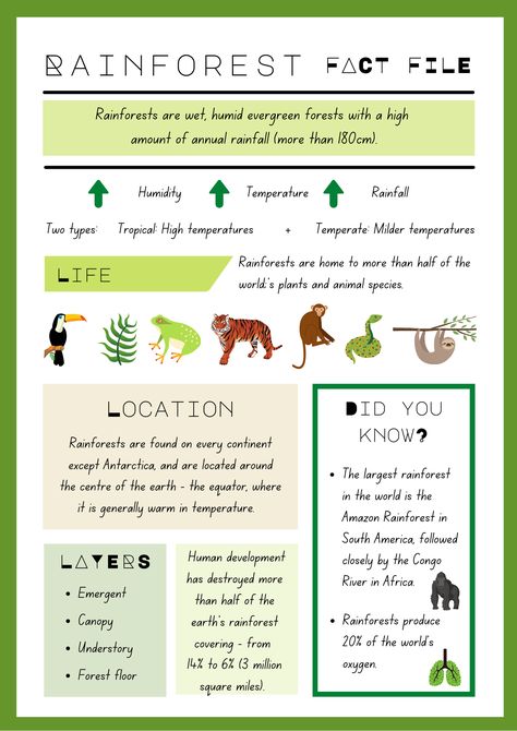 Rainforest Ecosystem Project Ideas, Rainforest Lesson Plans Preschool, Rainforest Habitat Projects For Kids, Tropical Rainforest Biome Project, Rainforest Facts For Kids, Amazon Rainforest Facts, Rainforest Poster, Rainforest Preschool, Biome Project