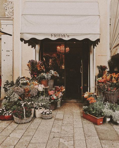 Frida's Vintage Flower Shop, Flower Shop Aesthetic, Flower Trucks, Floral Shops, Plant Shops, Flower Shop Interiors, Flower Shop Decor, Rare Orchids, Shop Aesthetic