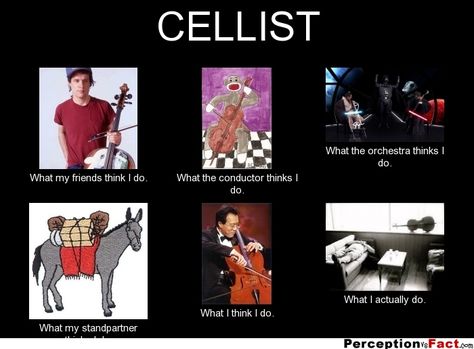 CELLIST... - What people think I do, what I really do - Perception Vs Fact Cello Humor, Orchestra Problems, Orchestra Humor, Musician Memes, Music Puns, Musician Humor, Band Jokes, Orchestra Music, Music Jokes