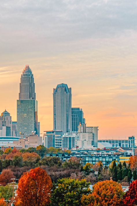 North America Aesthetic, Charlotte North Carolina Aesthetic, Charlotte Nc Aesthetic, North Carolina Aesthetic, North Carolina Charlotte, North Caroline, Carolina Do Norte, North Carolina Art, North Carolina Vacations