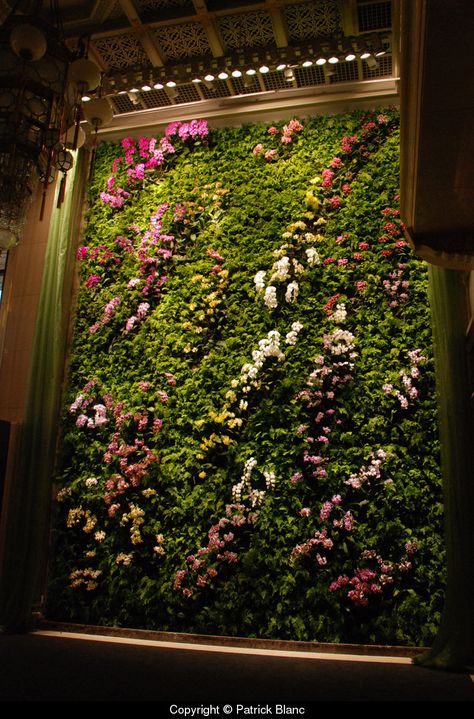 Vertical garden for Butterfly Dance, Taipei by Patrick Blanc | ❥"Hobby&Decor" | Inspirações em Decor! | #arquitetura #architecture #decor #interiordesign Wall With Flowers, Vertikal Garden, Kaktus Dan Sukulen, Vertical Vegetable Garden, Building A Pergola, Vertical Herb Garden, Pergola Design, Deco Nature, Walled Garden