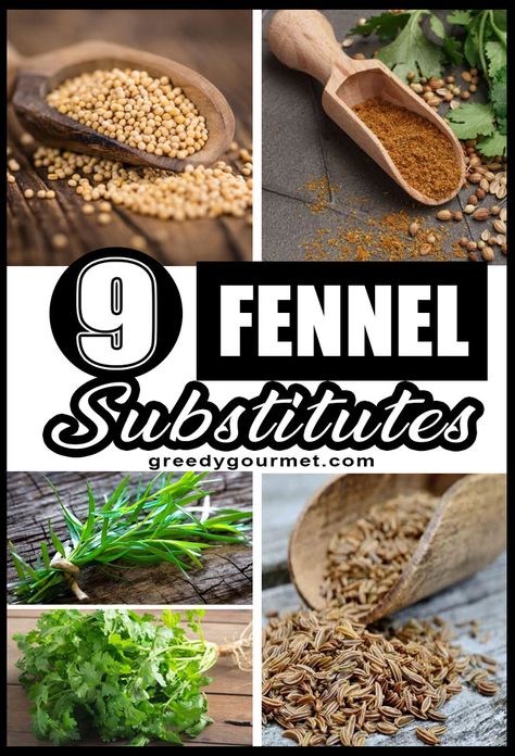 If you are cooking a fennel recipe, you need to brush up your skills on knowing the best fennel substitutes. Just in case! Learn all about them here. Enjoy. Fennel Herb, Fennel Recipe, Fennel Oil, Fennel Pollen, Fennel Recipes, Cooking Substitutions, Ingredient Substitutions, Homemade Cooking, English Food