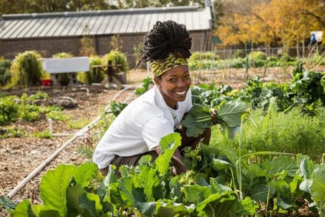 Aromatherapy Garden, Wholesome Aesthetic, Black Farmers, Farm Photoshoot, Flower Factory, Black Planters, Harvest Blessings, Green Farm, City Farm