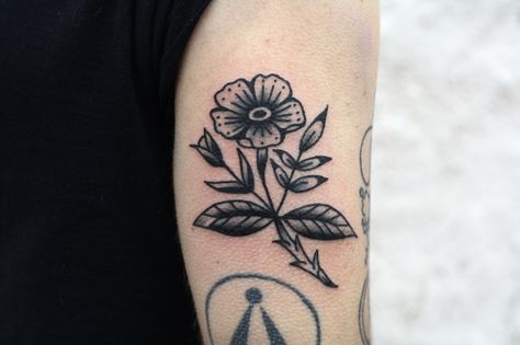 American Traditional Cosmos Flower Tattoo, American Traditional Wildflower Tattoo, Traditional Poppy Tattoo, Tattoo Special, Flower Tattoo On Ribs, Cosmos Tattoo, Abstract Tattoo Ideas, Nouveau Flowers, Tattoo Catalog