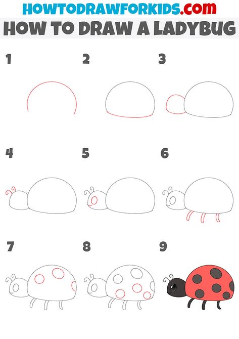 How to Draw a Ladybug - Easy Drawing Tutorial For Kids Ladybird Drawing Simple, Drawing A Ladybug, Bug Doodles To Draw, How To Draw Insects Step By Step, How To Draw Ladybug, How To Draw A Ladybug, Easy Drawing For Kids Step By Step, Ladybug Drawing Simple, Easy Ladybug Drawing