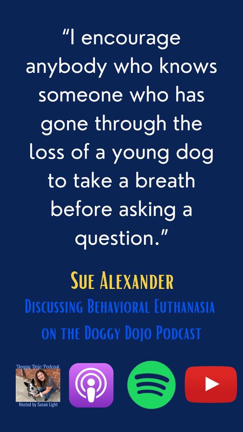 Behavioral Euthanasia isn’t an easy topic. If you’ve been through it, or know someone who has, you may be wondering what to tell your friends, how to comfort your friend, and how to move on. Sue Alexander and her group, Losing Lulu, is a unique support group for people who’ve had to go through Behavioral Euthanasia. Join us to discuss how to move on and how to support someone who’s gone through this. Find it on Apple Podcasts, Google Podcasts, Spotify, or wherever you like to listen! How To Move On, Podcasts Spotify, Behavior Modification, Dog Varieties, Behavior Analysis, Behavior Problems, Animal Behavior, Keynote Speakers, Dogs Of The World