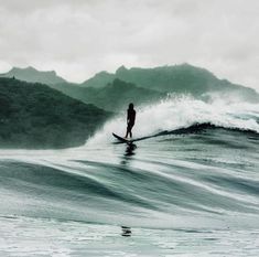 Untitled Green Slytherin Aesthetic, Aesthetic Dark Green, Green Images, Surfing Aesthetic, Gopro Surfing, Art Football, Surf Vibes, Surfing Pictures, Dark Green Aesthetic