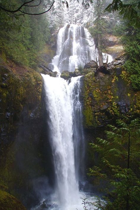 Tamanawas Falls Oregon, Opal Creek Oregon, Washington Adventures, Commission Ideas, Gifford Pinchot National Forest, Pacific Coast Road Trip, Washington Hikes, Dream Trips, Amazing Scenery