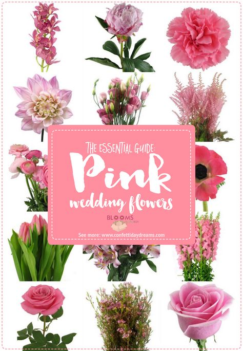 Pink Summer Wedding Flowers, Pink Flower Types, Bright Pink Wedding Flowers, Wedding Flowers Types, Types Of Wedding Flowers, Thistle Wedding Flowers, Shades Of Pink Wedding, Pink Flower Names, Bridal Crafts