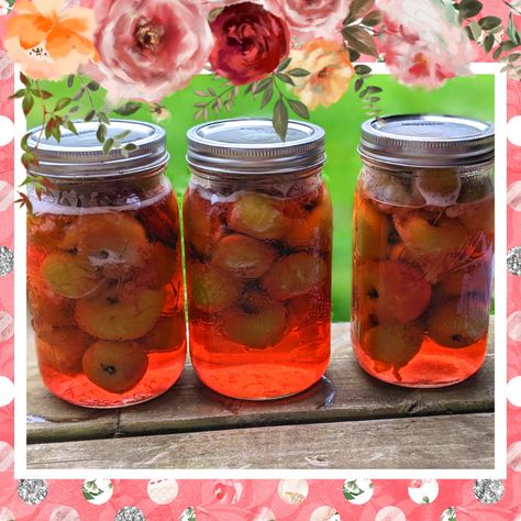 Grammie's Candied Crab Apples - My Little Pink Home Canned Spiced Crabapples, Canning Whole Crab Apples, Crab Apple Preserves, Pickled Crab Apple Recipes, Candied Crab Apples, Crab Apple Recipes Easy, Canning Crab Apples, Canned Crab Apples, Pickled Apples Recipe