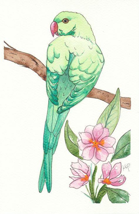 Parakeet Art, Green Parakeet, Art Green, Digital Flowers, Bookmarks Handmade, Chicken Coop, Watercolor Landscape, Pencil Art, Birdy