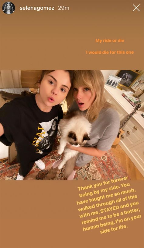 Taylor Swift Cat, Selena And Taylor, Robert Kardashian, The Simple Life, Marie Gomez, Long Live Taylor Swift, Taylor Swift Fan, Live Taylor, Taylor Swift Pictures