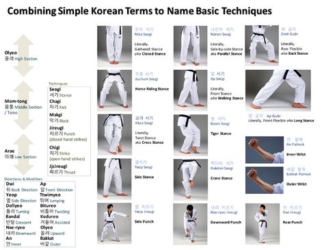 Basic Terms 1 Taekwondo Moves, Taekwondo Forms, Karate Kicks, Taekwondo Techniques, Taekwondo Belts, Martial Arts Sparring, Karate Kick, Muay Thai Kicks, Roundhouse Kick