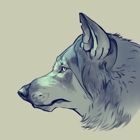 Today's sketch: a bit of a wolf portraits . . . . . #digitalart #sketchingjourney #sketch #wolfportrait #dailyart #artistoninstagram Wolf Front Face Drawing, Baby Wolf Drawing, Wolf Stylized, Wolf Oc Human, Wolf Side Profile, Wolf Drawing Ideas, Werewolf Sketch, Wolf Side View, Cartoon Wolf Drawing