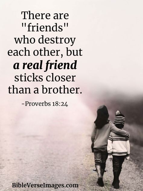 Short Quotes Friendship, Friendship Scripture, Verses About Kindness, Friendship Proverbs, Friends Bible Verse, Friendship Bible, Verses About Friendship, Short Friendship Quotes, Best Bible Verses