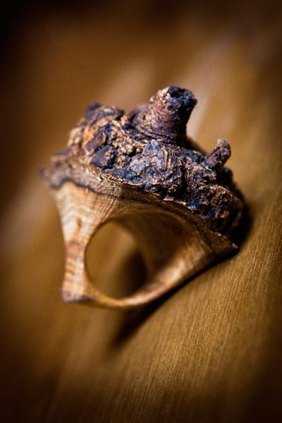 Wooden Jewelery, Wood Jewelery, Wooden Ring, Cremation Jewelry, Best Jewelry Stores, Wood Rings, Wooden Rings, Creative Jewelry, Contemporary Jewellery