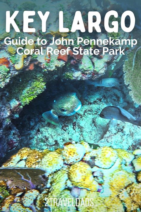 Guide to John Pennekamp Coral Reef State Park, Key Largo in the Florida Keys John Pennekamp Coral Reef State Park, John Pennekamp State Park, Florida Keys Road Trip, Florida Parks, Travel Florida, Florida Adventures, Florida State Parks, Nature Hikes, The Florida Keys