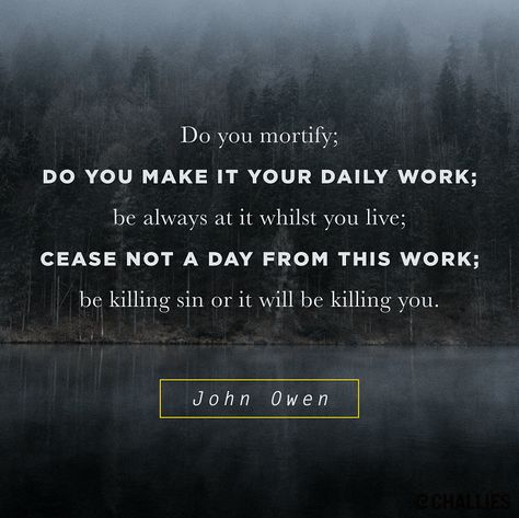 Sin Quotes, John Owen, Personal Development Quotes, Reformed Theology, Development Quotes, In Christ Alone, Growth Quotes, Random Quotes, Religious Quotes