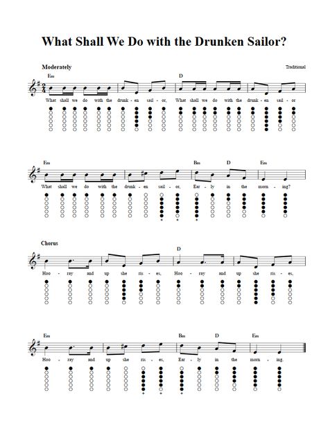 Irish Tin Whistle, Tin Whistle Tabs Songs, Tin Whistle Sheet Music, Tin Whistles, Music Flashcards, Penny Whistle, Native American Flute Music, Drunken Sailor, Irish Flute