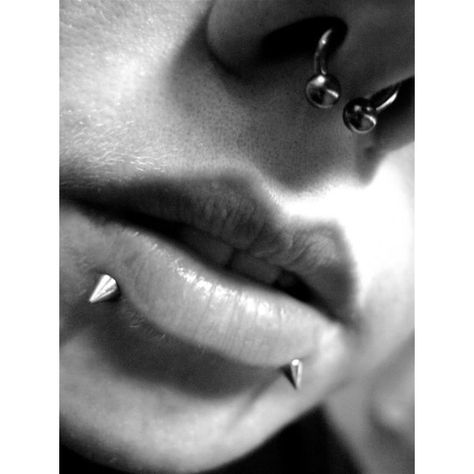 Snake Bites, Septum ❤ liked on Polyvore featuring jewelry, piercings, accessories, peircings, lip piercings, lip jewelry and snake jewelry Spike Snake Bites, Snakebite Piercing Men, Snakebite Piercing, Septum Snakebites, Snake Piercing, Snake Bites Piercing, Piercing Snake, Snake Bite Piercing, Piercings Jewelry