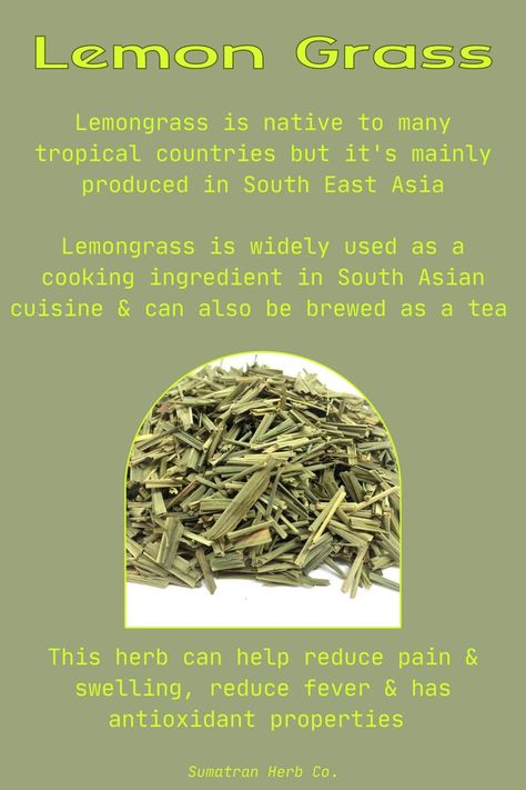 Benefits of lemongrass that can be used in cooking, for tea or infused into a topical. Lemongrass is native to South East Asia. This herb helps reeduce pain & swelling, reduce fever & has antioxidant properties. Fever Few Benefits, Herbs To Reduce Swelling, Herbal Fever Reducer, Lemongrass Plant Benefits Of, Herbs To Reduce Fever, Fever Reducing Herbs, Lemongrass Benefits Teas, Herbs For Fever, Lemongrass Magical Properties