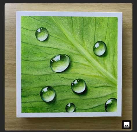 Water Drop Painting, Water Drops On Leaf, Drop Painting, Water Drop Drawing, Prismacolor Art, Art Painting Tools, Cool Pencil Drawings, Cat Air, 수채화 그림