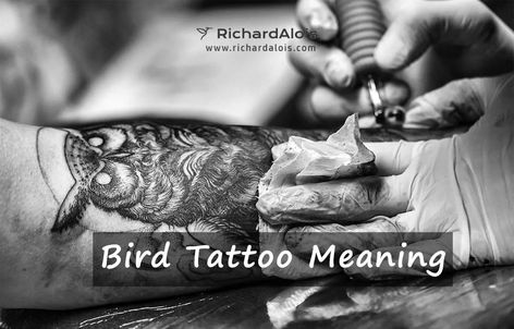 Bird tattoos are popular due to their beauty and the particular stories behind each species but tucked under their colorful wings lie hidden meanings and special messages. What is the meaning behind different bird tattoos or what bird symbolism can you use to express your own personal identity (tattoos have always been used as a means of identification)? birds tattoos, bird tattoo meaning, Richard Alois, birds facts, List Of Spirit Animals, Bird Symbolism, Bird Facts, Animal Symbolism. Birds Tattoo Meaning, Free Bird Tattoo, Bird Symbolism, Bird Meaning, Tattoos Meaning Strength, Chicken Tattoo, Bird Tattoo Meaning, Meaning Tattoos, Bird Facts