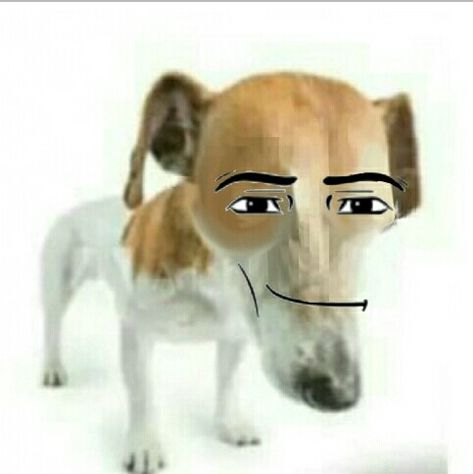 Wenamechainasama Dog, Wenamechainasama Meme, Blue Emoji, Vocaloid Funny, Man Face, Roblox Memes, Silly Dogs, Funny Dog Pictures