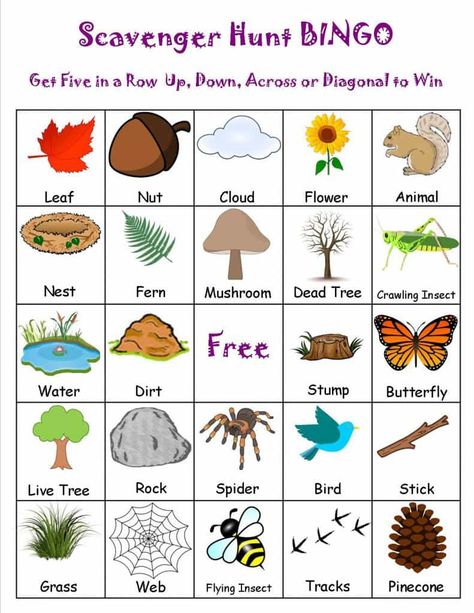 scavenger-hunt-bingo Spring Scavenger Hunt, Oppgaver For Barn, Høstaktiviteter For Barn, Camping Scavenger Hunts, Nature Scavenger Hunt, Printable Bingo Games, Bingo Sheets, Lake Time, Garden Fun