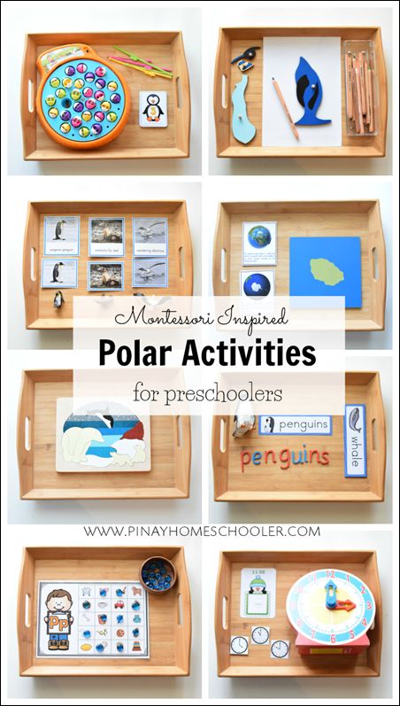 Plateau Montessori, Polar Activities, Montessori Trays, Montessori Activities Preschool, Winter Unit, Winter Activities Preschool, Montessori Lessons, Montessori Diy, Montessori Practical Life