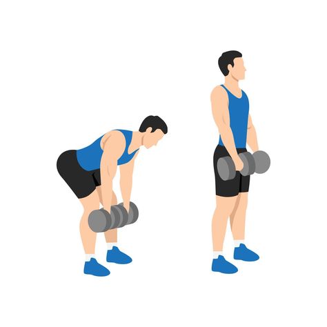 Man doing Dumbbell stiff leg deadlift exercise. Flat vector illustration isolated on white background Stiff Leg Deadlift, Flat Vector Illustration, Cartoon Man, Flat Vector, The Man, Vector Art, Stock Illustration, White Background, Vector Free