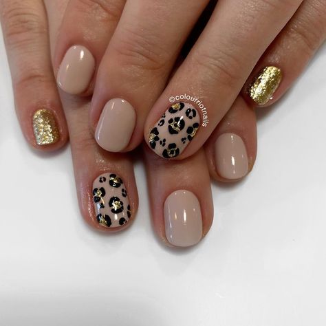 Leopard print 🐆 is making a big come back this season ! Looks great in all colours including the staple classic nude . . . . #nails… Classic Nude Nails, Pink Leopard Nails, Cheetah Nail Designs, Cheetah Nails, Leopard Print Nails, Print Nails, Leopard Nails, Fall Acrylic Nails, Dipped Nails