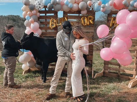 Western Gender Reveal Outfit, Gender Reveal Ideas For Party Western, Western Baby Gender Reveal Ideas, Western Gender Reveal Ideas For Party, Cow Print Gender Reveal, Bull Or Heifer Gender Reveal, Farm Gender Reveal Ideas, Cow Gender Reveal Ideas, Western Gender Reveal Ideas