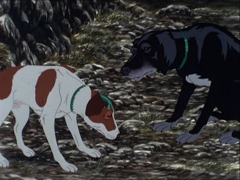 Plague Dogs, Dog Movies, Watership Down, The Plague, Kids' Movies, Dog Costumes, Dog Costume, Animation Film, Animated Characters