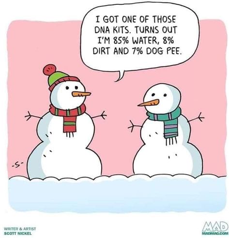 Lizzo vs snowmen 😂😂 Grinch Memes, Snowman Jokes, Funny Christmas Cartoons, Winter Humor, Genealogy Humor, Christmas Jokes, Christmas Memes, Dog Pee, Holiday Quotes