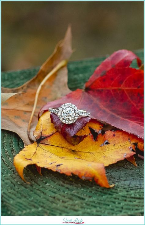 Ring Photography, Fall Engagement Pictures, Cute Engagement Photos, Surprise Engagement, Couple Engagement Pictures, Engagement Pictures Poses, Surprise Wedding, Engagement Photos Fall, Engagement Announcement