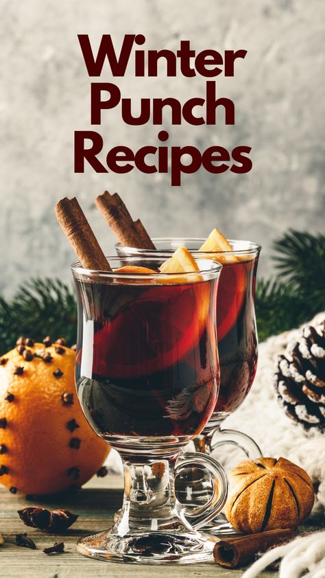 Winter Punch Recipes Winter Moscato Punch, Warm Punch Recipes, Winter Punch Alcoholic, Winter Punch Recipes, Hot Punch Recipe, Punch Bowl Recipes, Red Punch Recipes, Hot Christmas Drinks, Holiday Cider