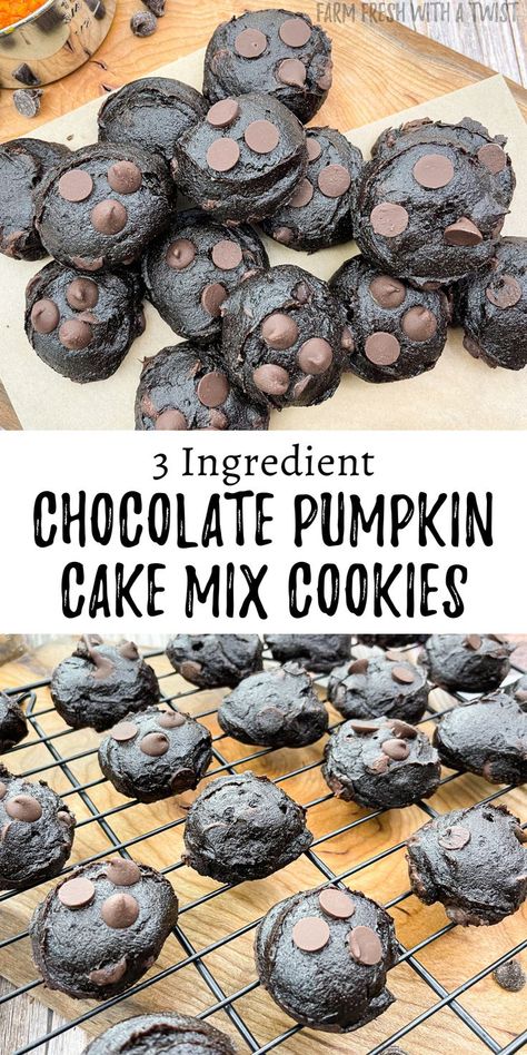 3 ingredient chocolate pumpkin cake mix cookies that are made with chocolate cake mix or brownie mix, pumpkin puree and chocolate chips on a wooden slab. Chocolate Pumpkin Cookies, Pumpkin Cake Mix Cookies, Pumpkin And Chocolate, Pumpkin Cake Mix, Chocolate Pumpkin Cake, Chocolate Pumpkin, Pumpkin Chocolate Chip, Pumpkin Chocolate Chip Cookies, Healthy Cookie Recipes