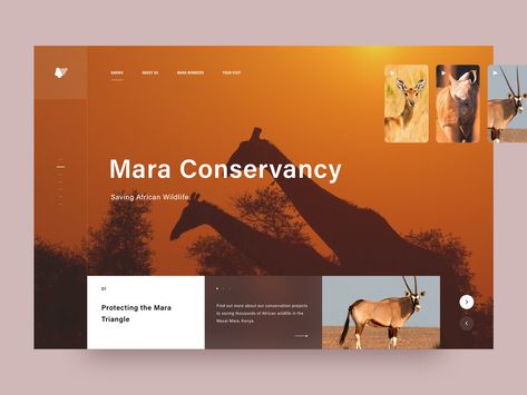 Saving African Wildlife 2018 typography landing landing page creative ux ui design africa discovery nature awsmd App Development Design, Travel Instagram Ideas, Web Design Ux Ui, Best Ui Design, Good Advertisements, Wild Animals Pictures, Photographer Portfolio, Ui Design Inspiration, Web Inspiration