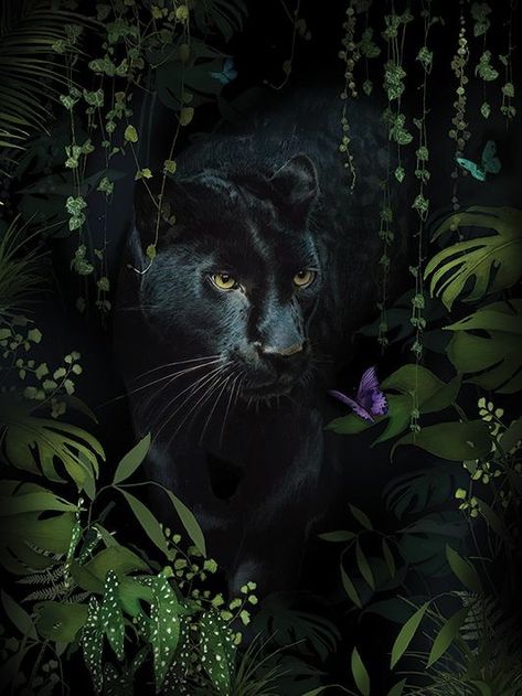 Summer Thornton, Panther Art, Black Panther Art, Black Jaguar, Power Animal, Animal Wallpaper, Black Panther, Big Cats, Spirit Animal