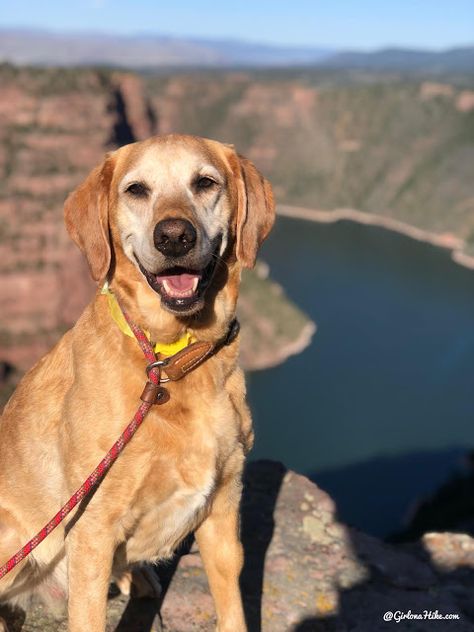 Camping & Exploring at Flaming Gorge National Rec Area Girl on a Hike Flaming Gorge, River Time, Cross Country Trip, Backcountry Camping, Dog Area, Green River, Weekend Trips, Strike A Pose, Cross Country