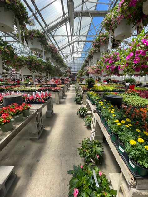 Plant Nursery Aesthetic, Plant Nursery Ideas Greenhouses, Flower Farm Greenhouse, Greenhouse Set Up Inside Jungle, Nursery Plants Greenhouses, Greenhouse Full Of Flowers, Greenhouse Dark Aesthetic, Nursery Layout, Project Nursery