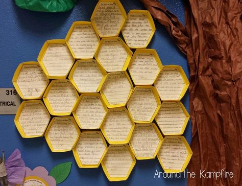 "Honeycomb" Bulletin Board About Bee Writing (from Around the Kampfire) End Of Year Open House, Bee Inquiry, Open House Display, Insect Unit, Bee Themed Classroom, Bee Activities, Life Cycles Activities, Bee Classroom, School Displays