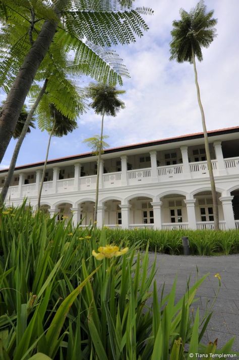 Key West Bungalow, Capella Singapore, Caribbean Architecture, Sparkling Mineral Water, Colonial Design, Romantic Hotel, Family Destinations, South China Sea, App Interface