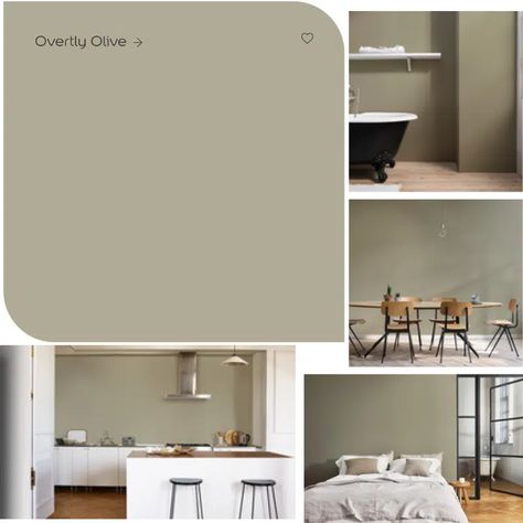 Off White Wall Colour Living Rooms, Dulux Overtly Olive Kitchen, Khaki Lounge Color Schemes, Overtly Olive Colour Palette, Olive Green Tv Wall, Valspar Olive Green, Pale Olive Green Paint, Overtly Olive Bedroom Ideas, Overly Olive Dulux Paint