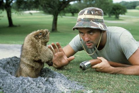 Bill Murray as 'Carl Spackler' in 'Caddyshack'. "I smell varmint poontang. And the only good varmint poontang is dead varmint poontang, I think." Caddyshack Quotes, Caddy Shack, Sports Movie, Bill Murray, 80s Movies, My Favorite Movies, Saturday Night Live, Best Movies, Music Books